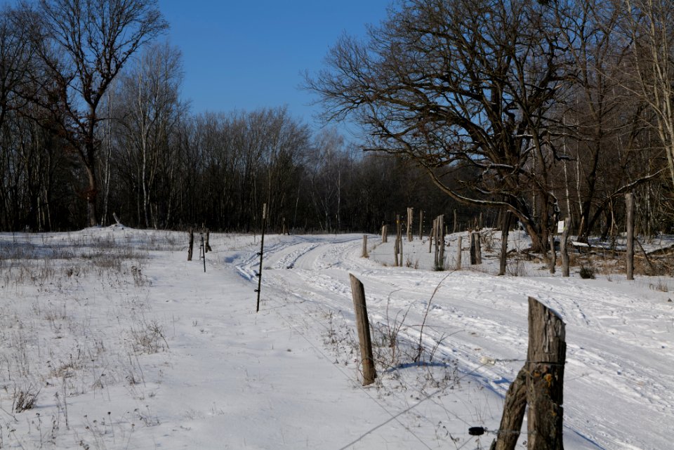 Ferbitzer Bruch Döberitzer Heide round trail with snow 2021-02-14 62