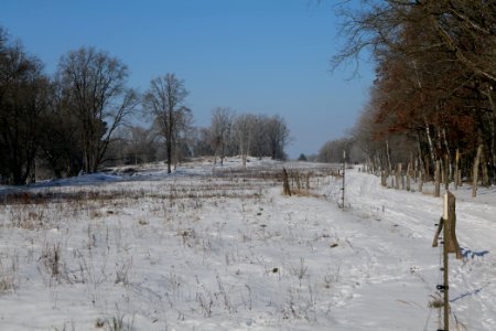 Ferbitzer Bruch Döberitzer Heide round trail with snow 2021-02-14 57