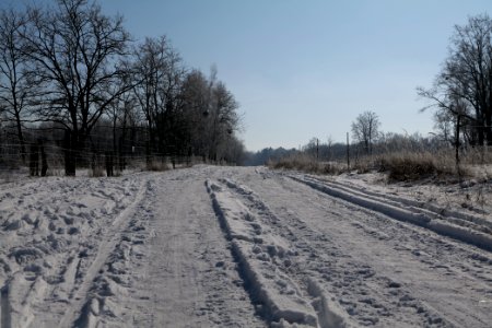 Ferbitzer Bruch Döberitzer Heide round trail with snow 2021-02-14 52