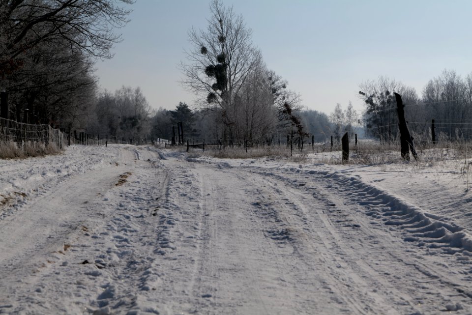 Ferbitzer Bruch Döberitzer Heide round trail with snow 2021-02-14 48