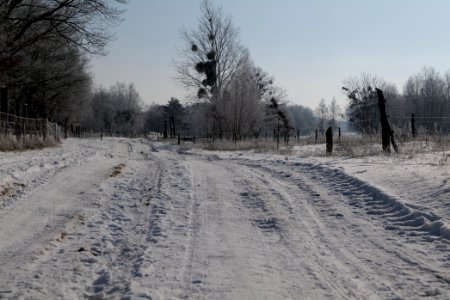 Ferbitzer Bruch Döberitzer Heide round trail with snow 2021-02-14 48