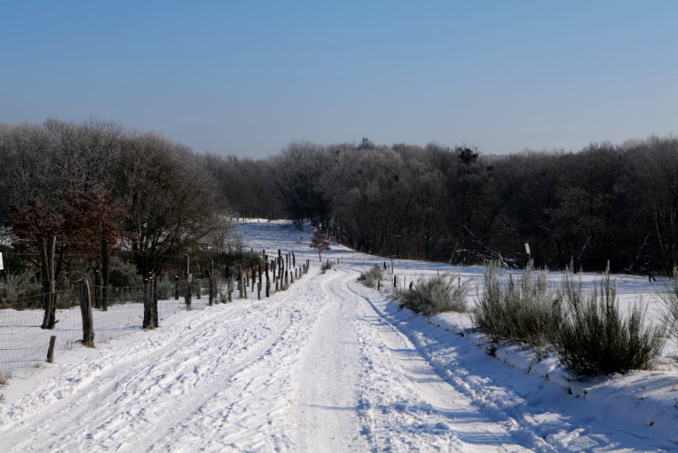 Ferbitzer Bruch Döberitzer Heide round trail with snow 2021-02-14 65