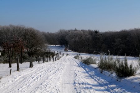Ferbitzer Bruch Döberitzer Heide round trail with snow 2021-02-14 65