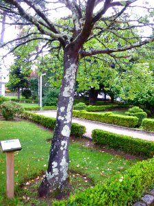 Ferrol - Parque Municipal Raíña Sofía 05
