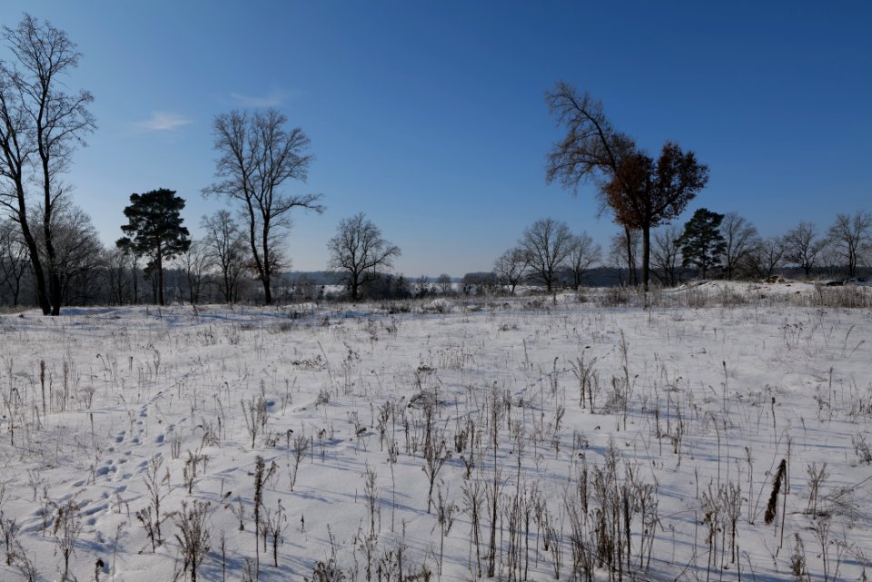 Ferbitzer Bruch with snow 2021-02-14 91