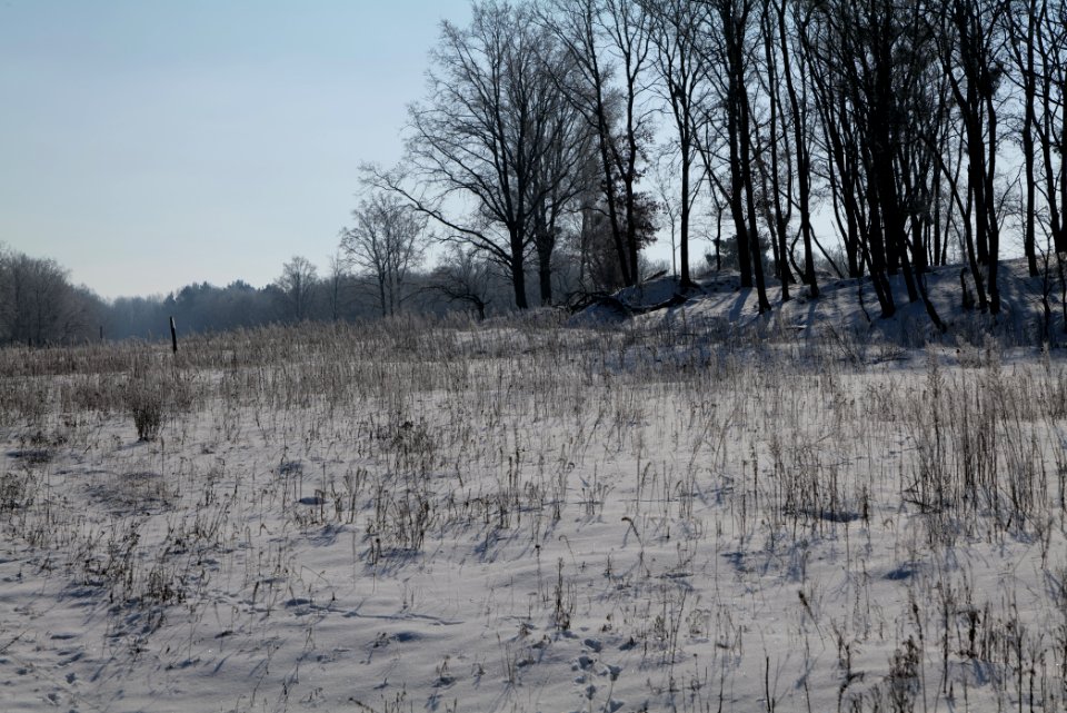 Ferbitzer Bruch with snow 2021-02-14 90