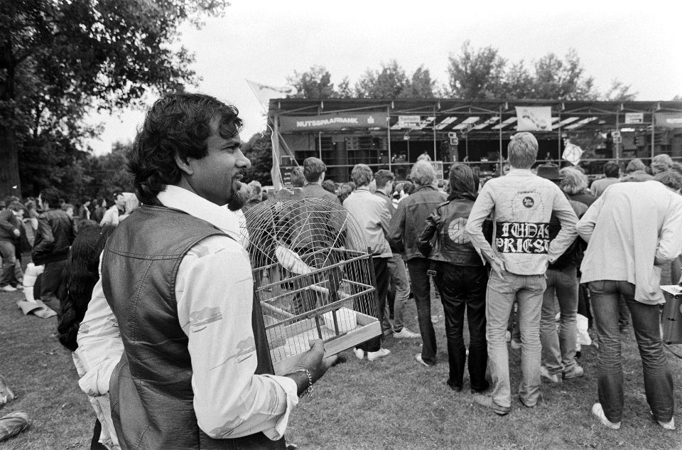 Festivalgangers in het Zuiderpark in Den Haag tijdens Parkpop, Bestanddeelnr 931-5794