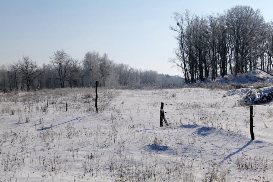 Ferbitzer Bruch with snow 2021-02-14 86
