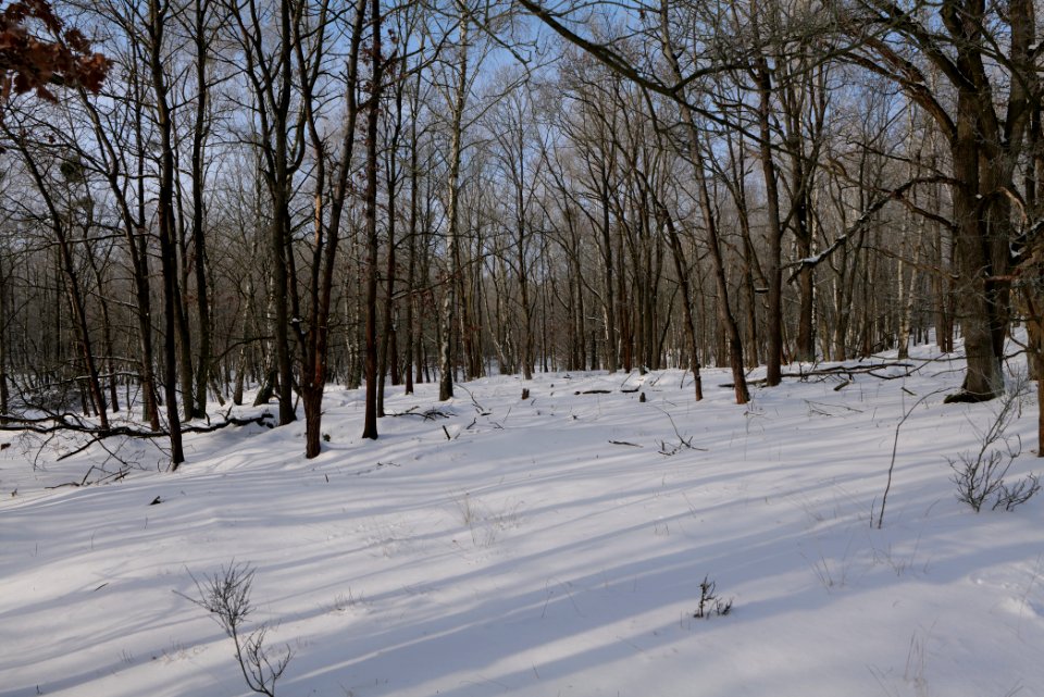 Ferbitzer Bruch with snow 2021-02-14 06