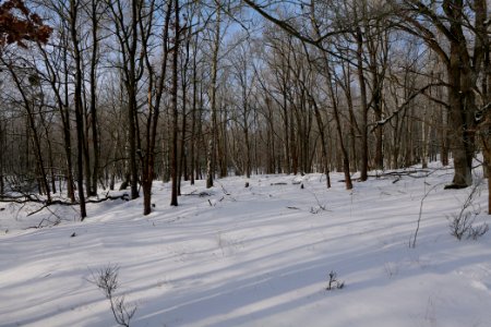 Ferbitzer Bruch with snow 2021-02-14 06