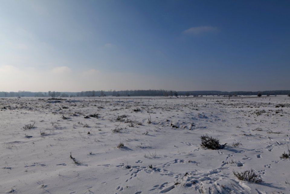 Ferbitzer Bruch with snow 2021-02-14 27