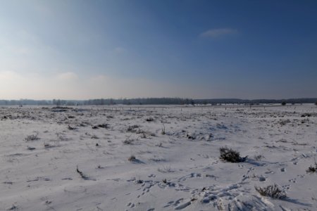 Ferbitzer Bruch with snow 2021-02-14 27