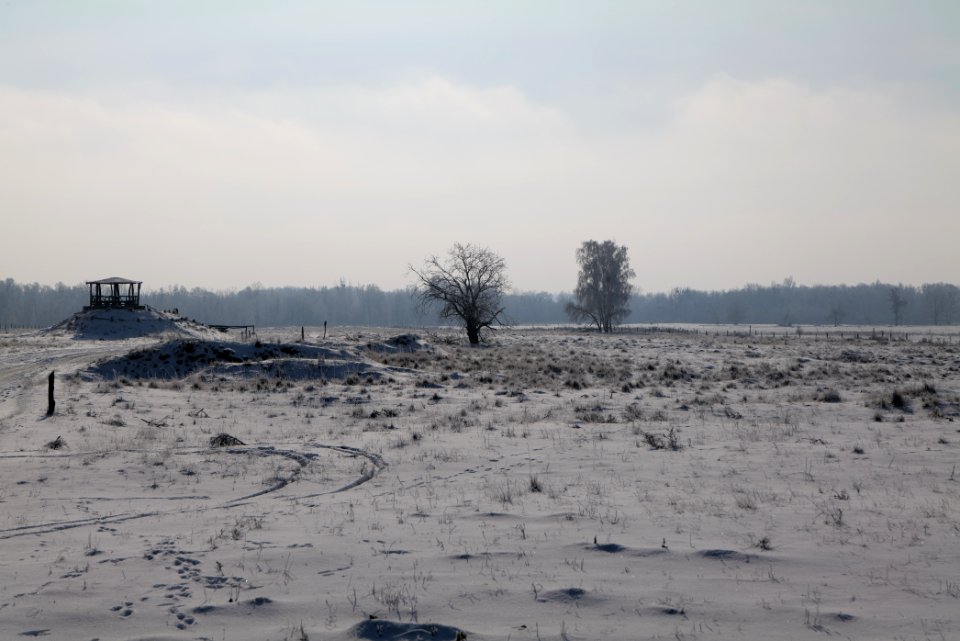 Ferbitzer Bruch with snow 2021-02-14 35