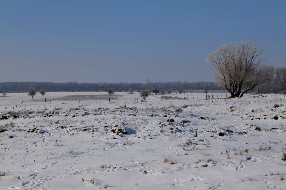 Ferbitzer Bruch with snow 2021-02-14 32