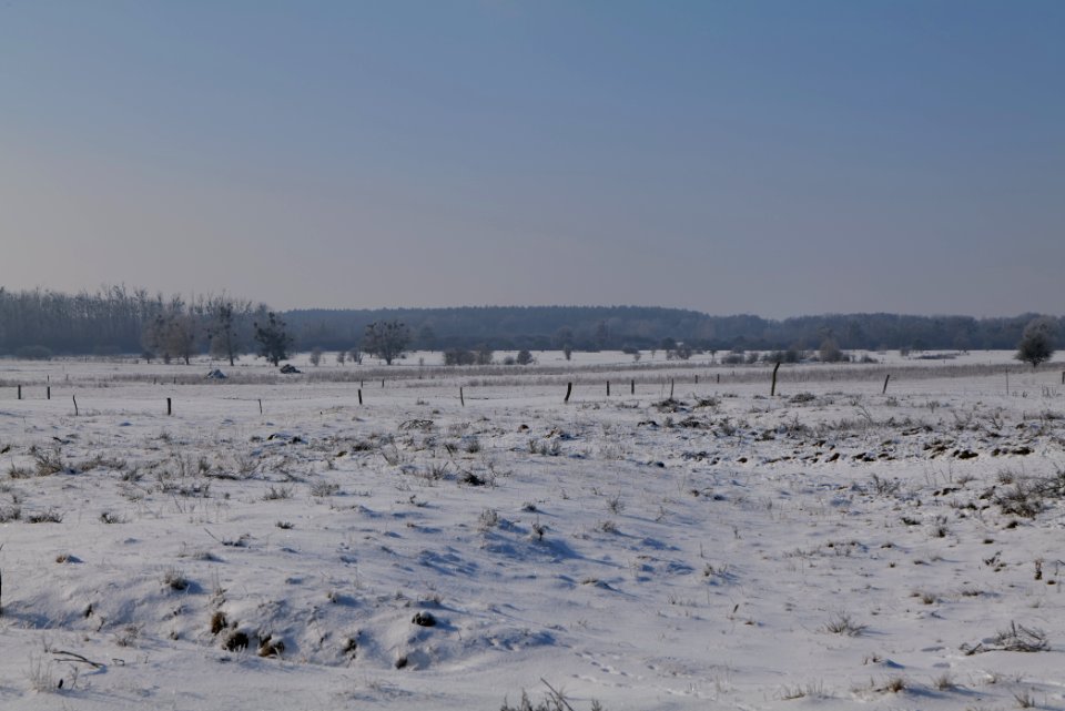 Ferbitzer Bruch with snow 2021-02-14 33