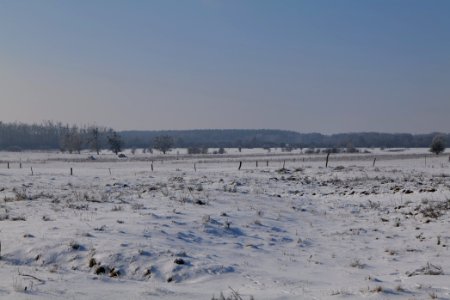 Ferbitzer Bruch with snow 2021-02-14 33