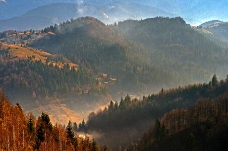 Forest landscape romania photo