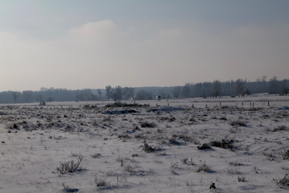 Ferbitzer Bruch with snow 2021-02-14 34