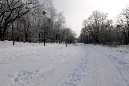 Ferbitzer Bruch Döberitzer Heide round trail with snow 2021-02-14 12