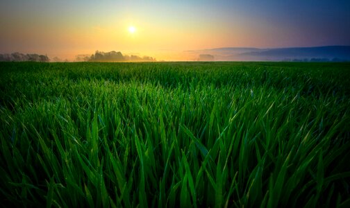 Fog landscape sun