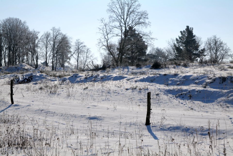 Ferbitzer Bruch with snow 2021-02-14 88