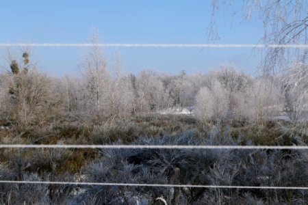Ferbitzer Bruch Döberitzer Heide wilderness area with snow 2021-02-14 30