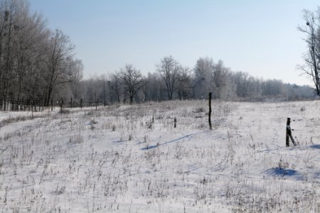 Ferbitzer Bruch with snow 2021-02-14 85