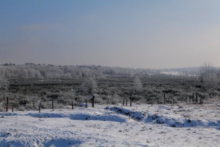 Ferbitzer Bruch Döberitzer Heide wilderness area with snow 2021-02-14 15