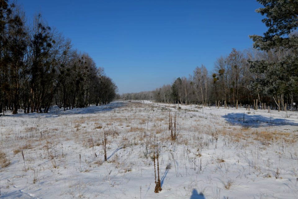 Ferbitzer Bruch with snow 2021-02-14 81