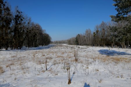 Ferbitzer Bruch with snow 2021-02-14 81