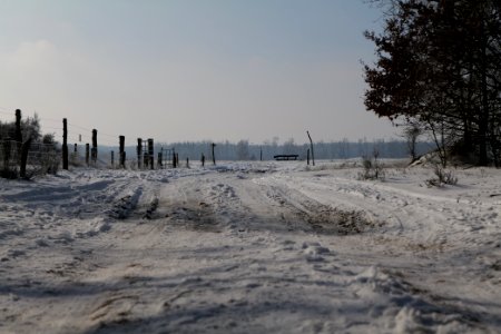 Ferbitzer Bruch Döberitzer Heide round trail with snow 2021-02-14 25