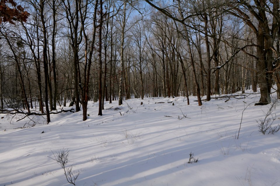 Ferbitzer Bruch with snow 2021-02-14 05