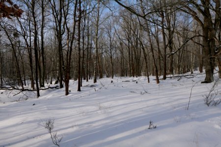 Ferbitzer Bruch with snow 2021-02-14 05