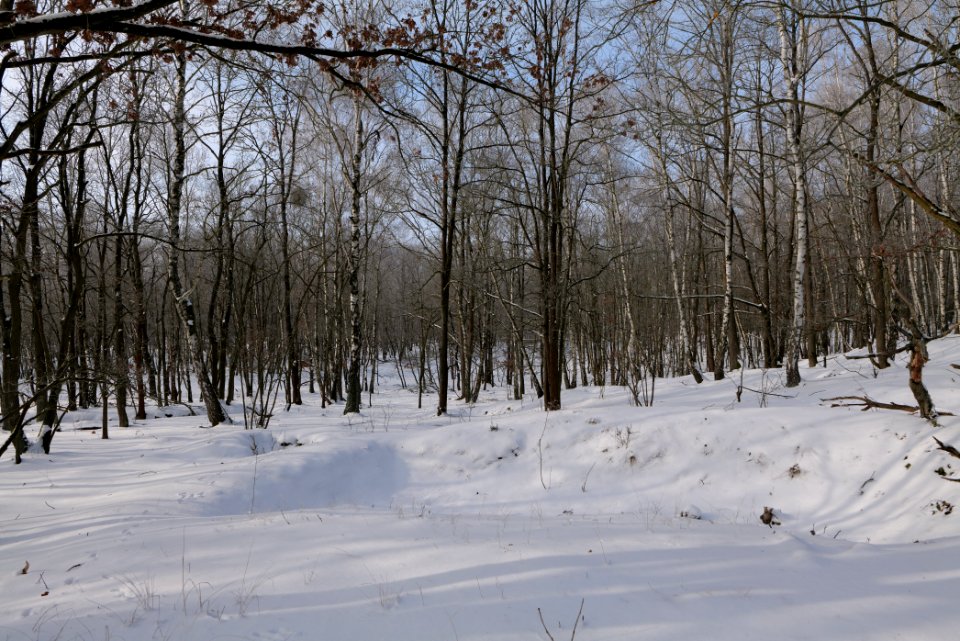 Ferbitzer Bruch with snow 2021-02-14 04