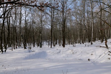 Ferbitzer Bruch with snow 2021-02-14 04