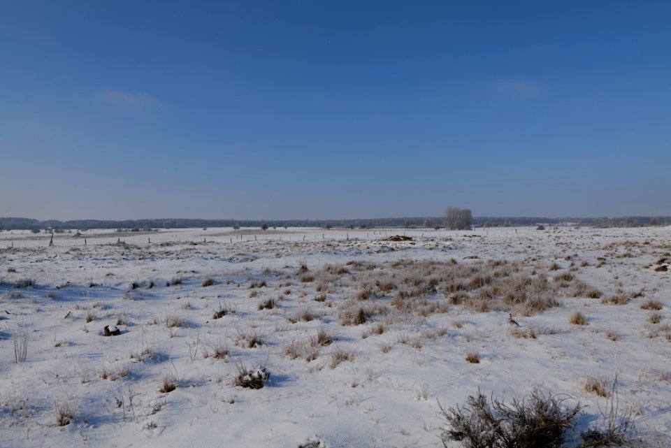 Ferbitzer Bruch with snow 2021-02-14 38