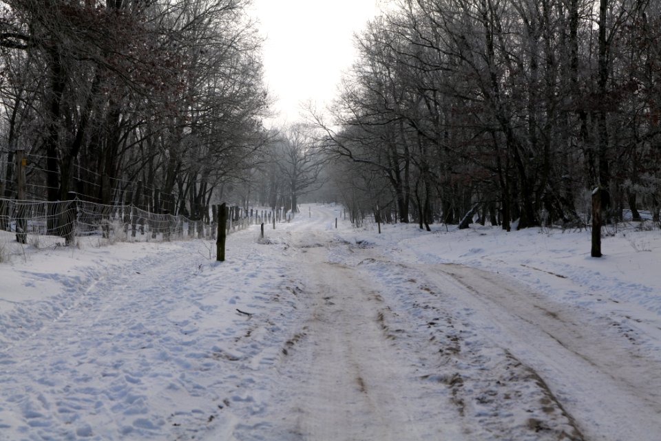 Ferbitzer Bruch Döberitzer Heide round trail with snow 2021-02-14 02