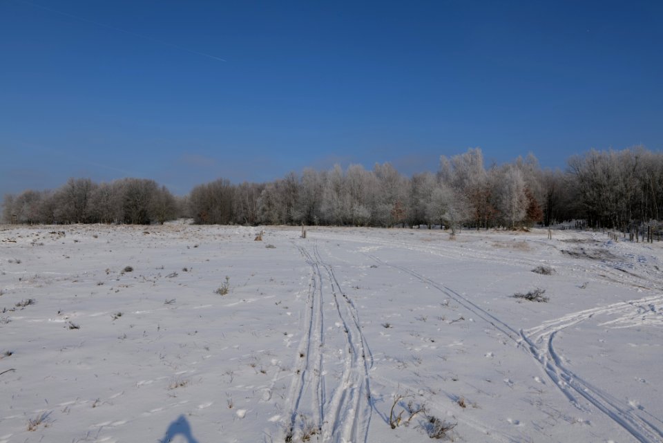 Ferbitzer Bruch with snow 2021-02-14 22