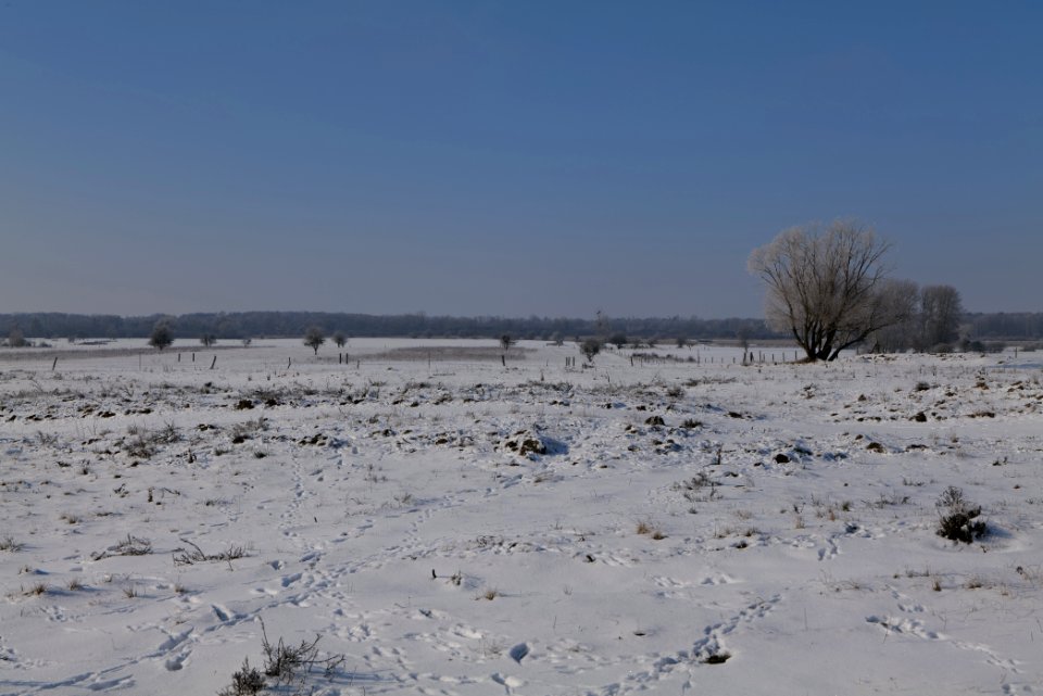 Ferbitzer Bruch with snow 2021-02-14 29