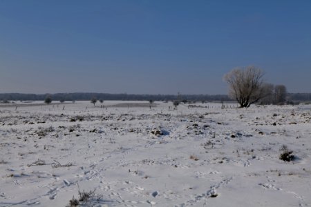 Ferbitzer Bruch with snow 2021-02-14 29