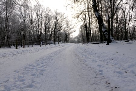 Ferbitzer Bruch Döberitzer Heide round trail with snow 2021-02-14 08