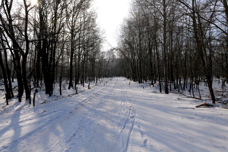 Ferbitzer Bruch Döberitzer Heide round trail with snow 2021-02-14 18