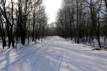 Ferbitzer Bruch Döberitzer Heide round trail with snow 2021-02-14 18