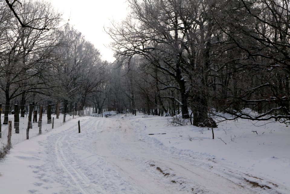 Ferbitzer Bruch Döberitzer Heide round trail with snow 2021-02-14 07