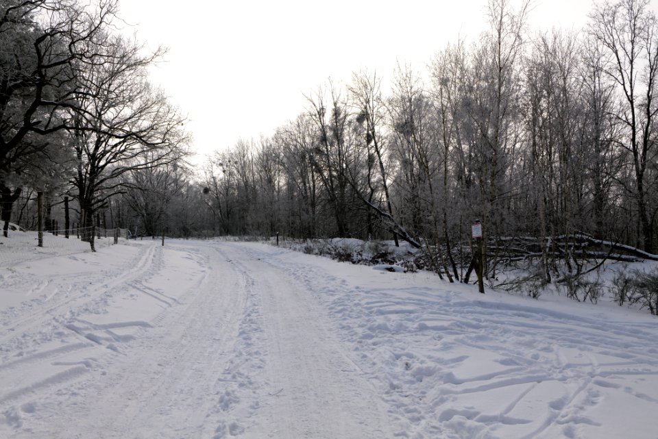 Ferbitzer Bruch Döberitzer Heide round trail with snow 2021-02-14 10