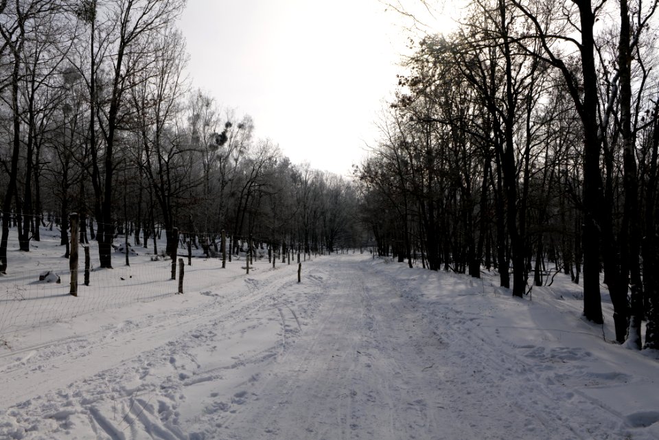 Ferbitzer Bruch Döberitzer Heide round trail with snow 2021-02-14 15