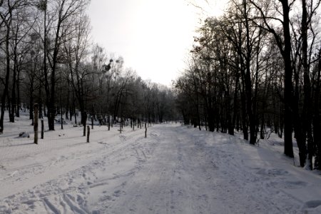 Ferbitzer Bruch Döberitzer Heide round trail with snow 2021-02-14 15