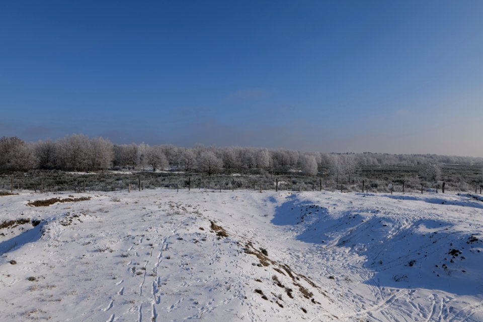 Ferbitzer Bruch Döberitzer Heide wilderness area with snow 2021-02-14 07