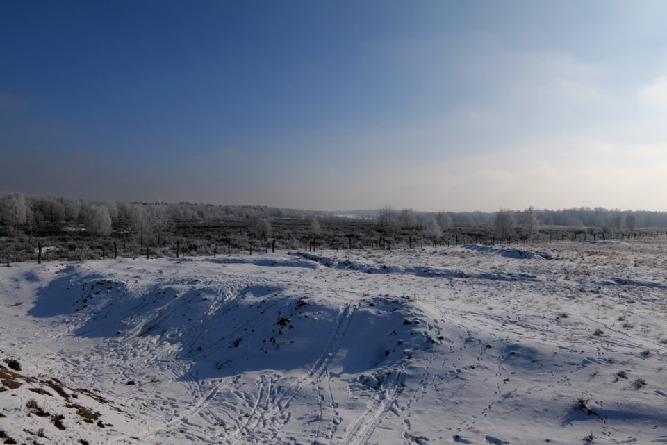 Ferbitzer Bruch Döberitzer Heide wilderness area with snow 2021-02-14 08
