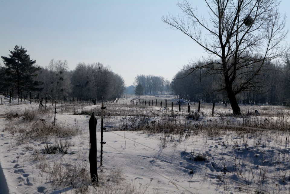 Ferbitzer Bruch with snow 2021-02-14 80